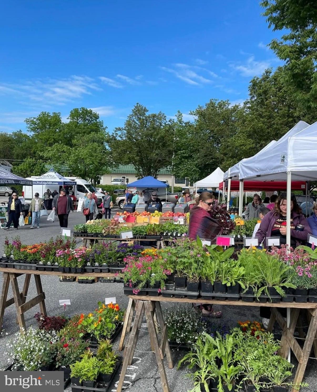 EDMONDSON HEIGHTS - Residential