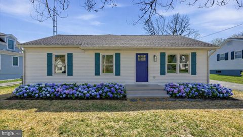 25 BYRD AVENUE BERRYVILLE VA 22611