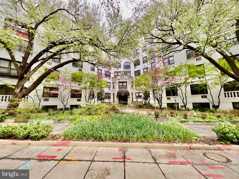4701 CONNECTICUT AVENUE NW 308 WASHINGTON DC 20008