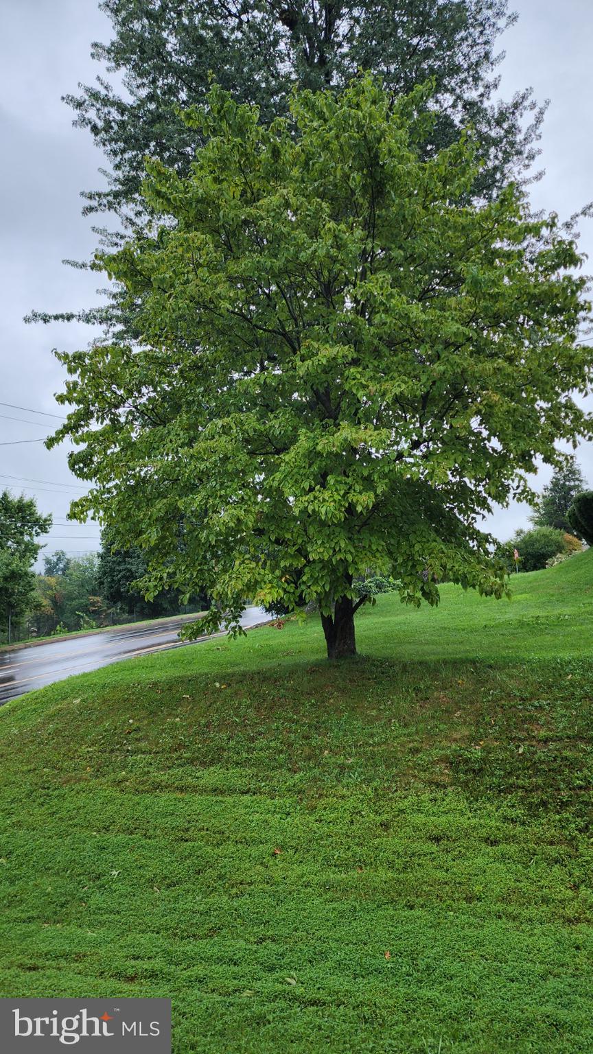 SOMERTON - Residential