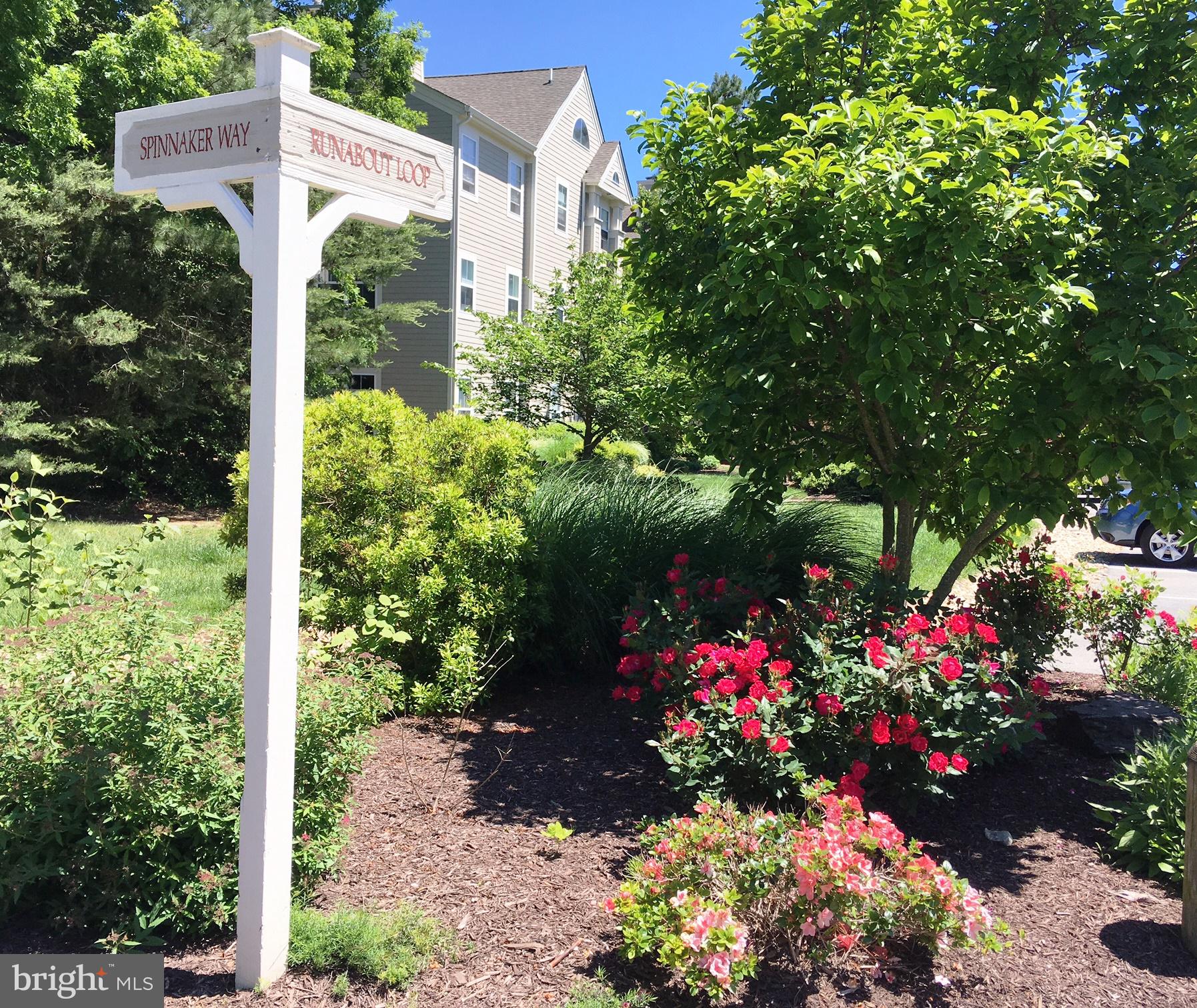 733 RUNABOUT LOOP 733