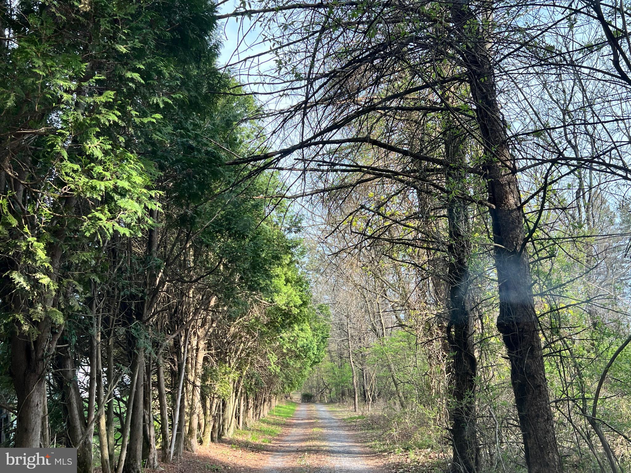 18 CIDER MILL RUN
