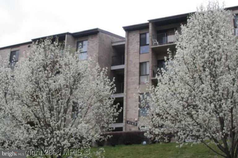 EDSALL BLUFF - Residential Lease