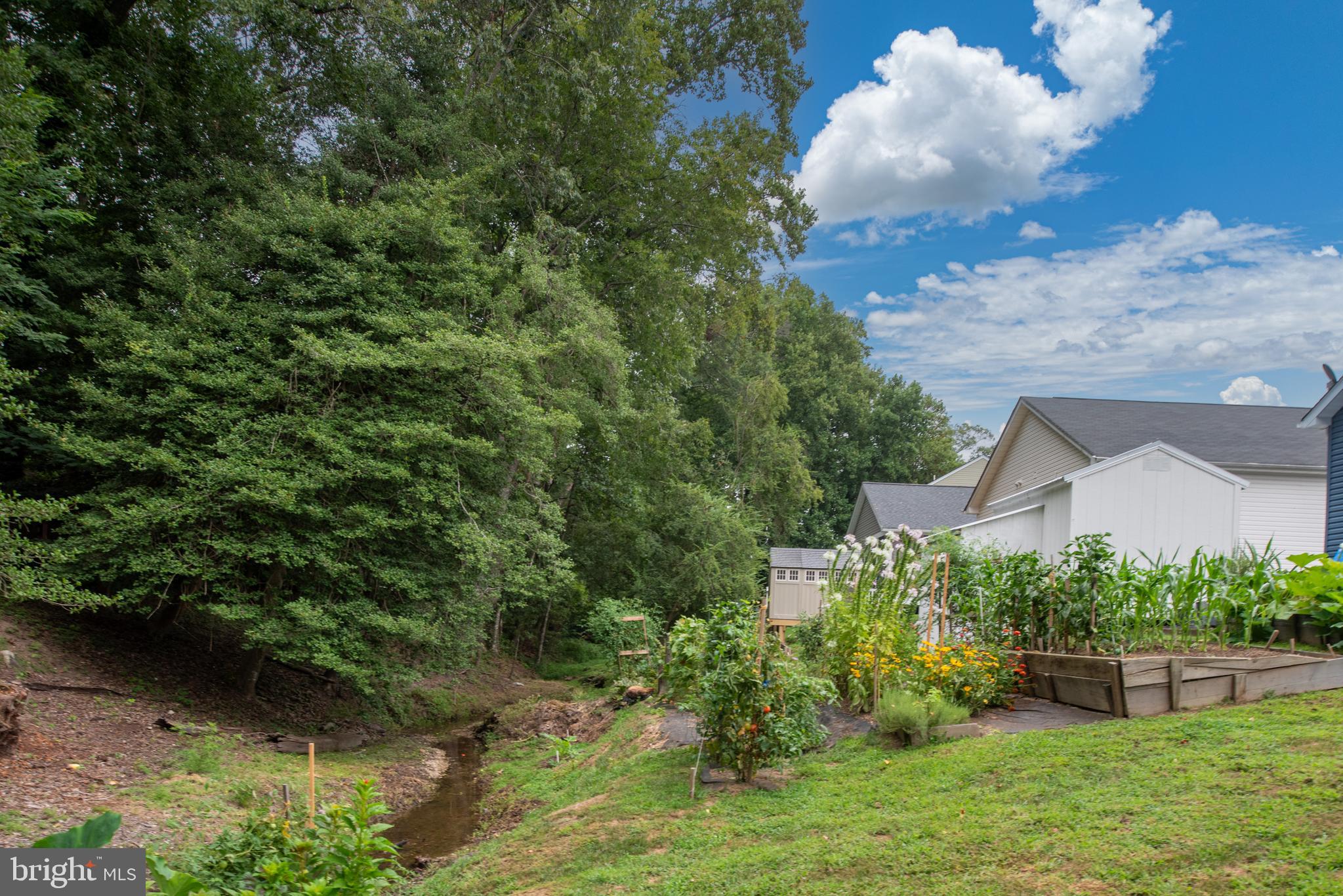 CLASSIC SHORES - Residential