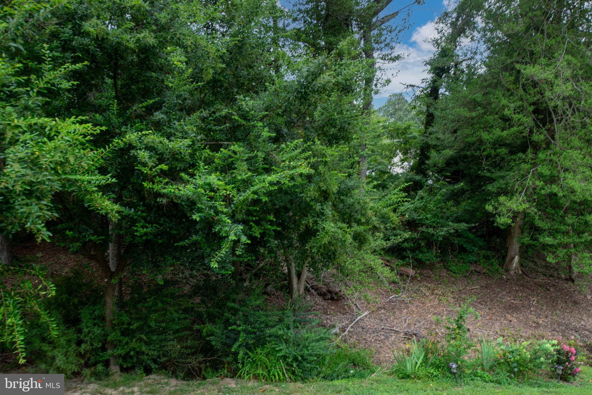 CLASSIC SHORES - Residential