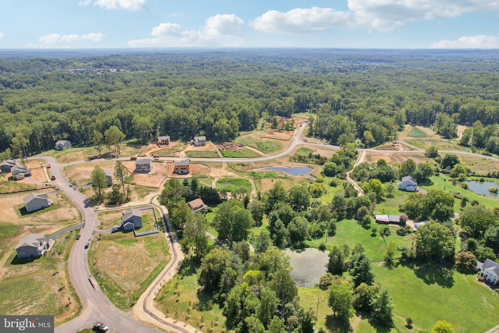 WOODED RUN ESTATES - Residential