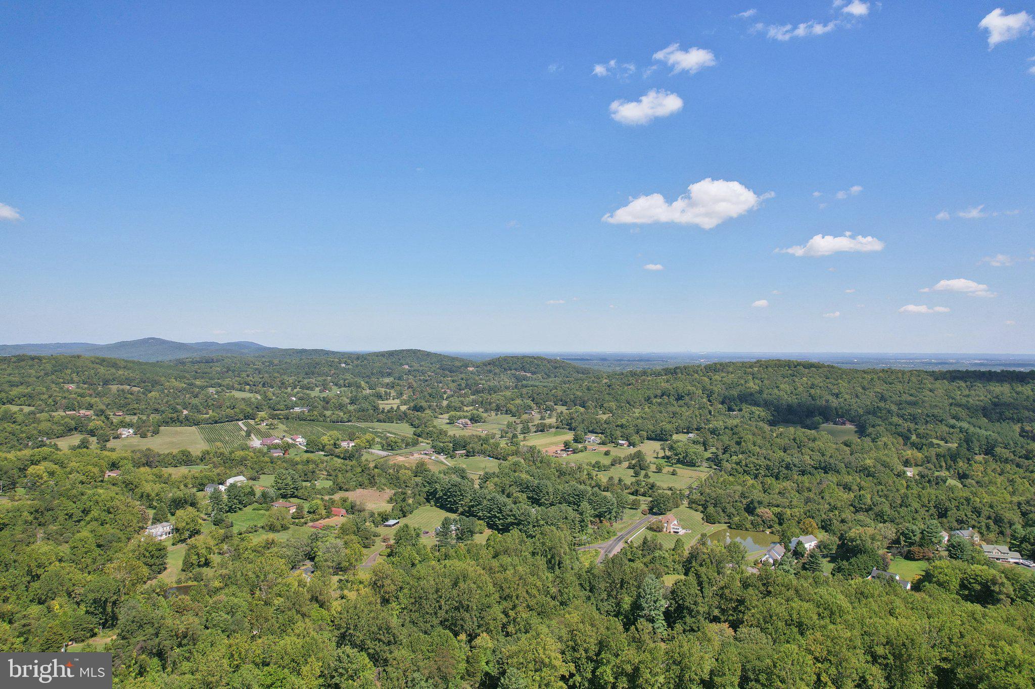 WOODED RUN ESTATES - Residential