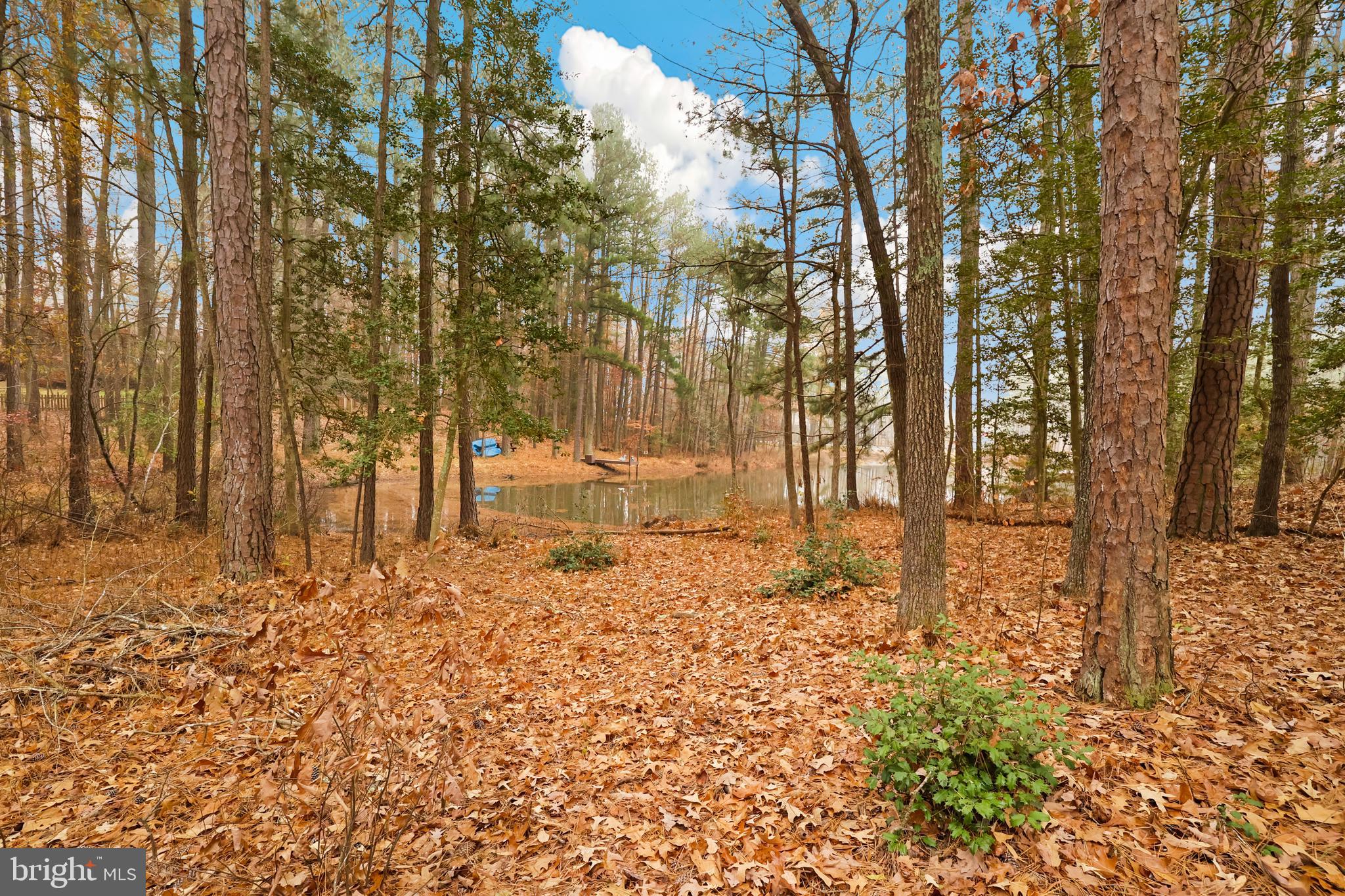 LAKE CAROLINE - Residential
