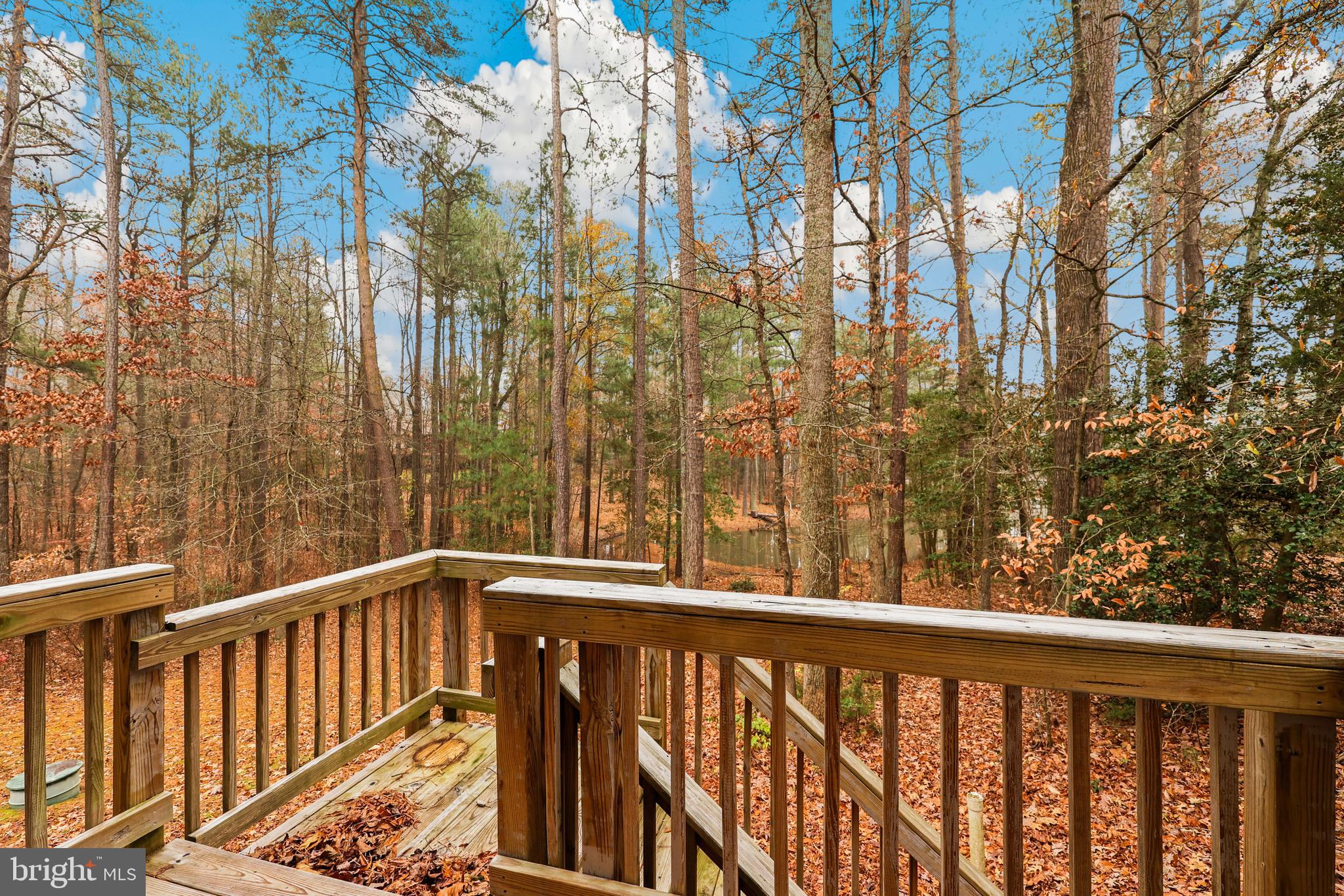 LAKE CAROLINE - Residential