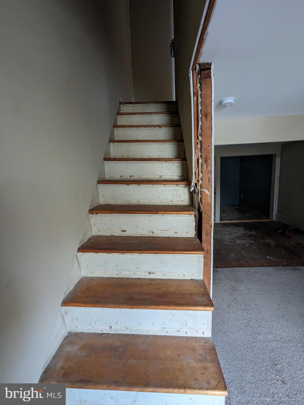 SAINT HELENA - Residential