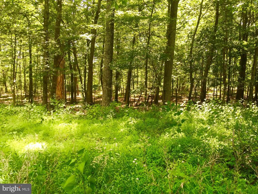 Perfect lot for your dream home or vacation getaway! 4.5 acres with gorgeous mountain views.