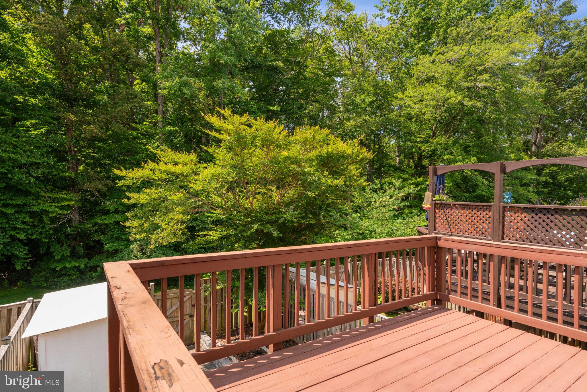 NEWINGTON FOREST - Residential Lease