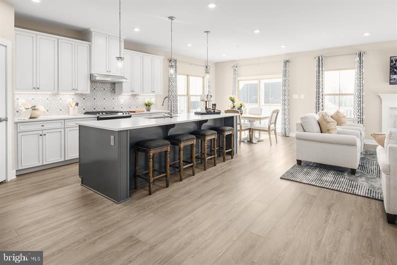 GREEN LANE MEADOWS - Residential