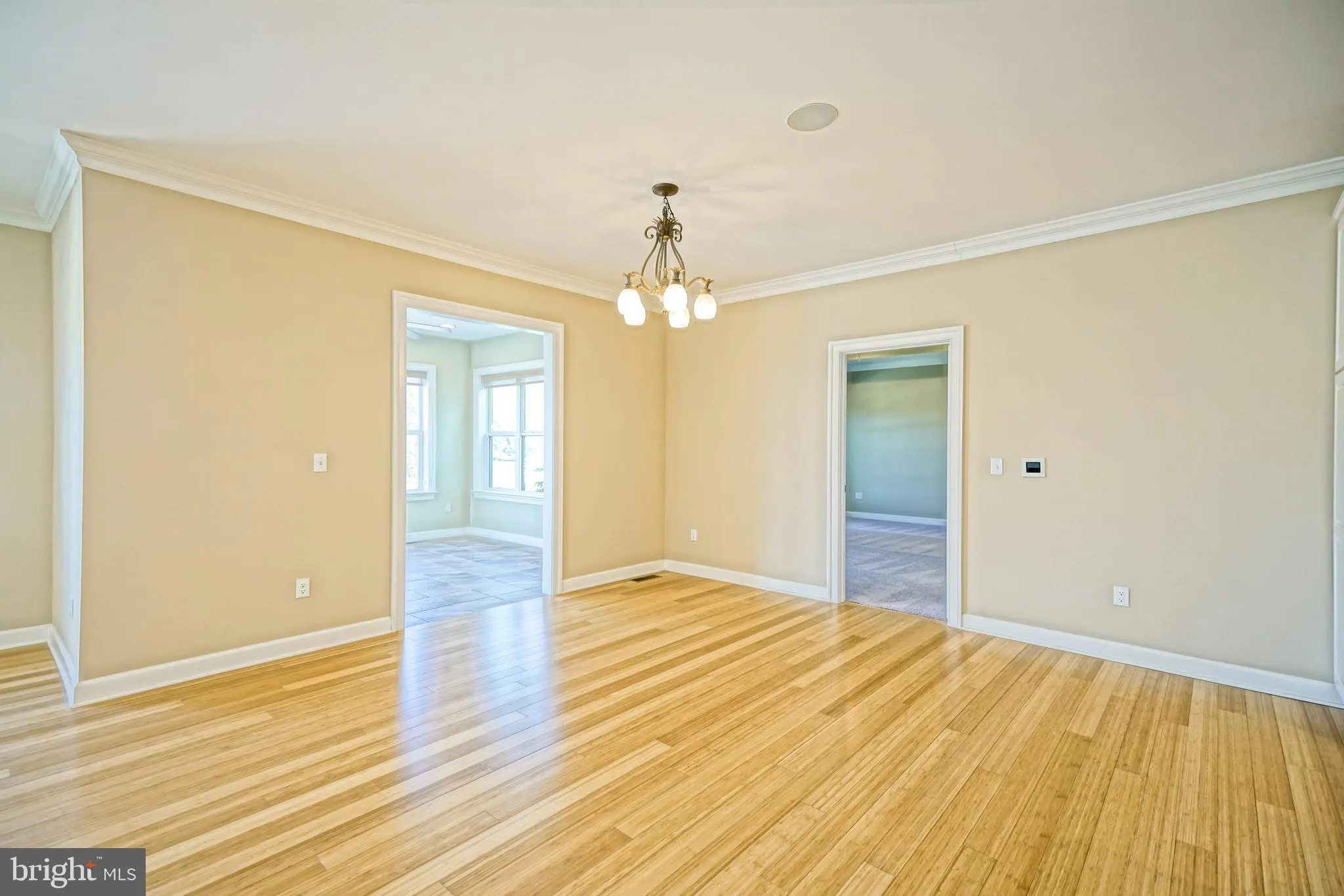 Lewes, Delaware 19958, United States, 4 Bedrooms Bedrooms, ,4 BathroomsBathrooms,Residential,Active,103719