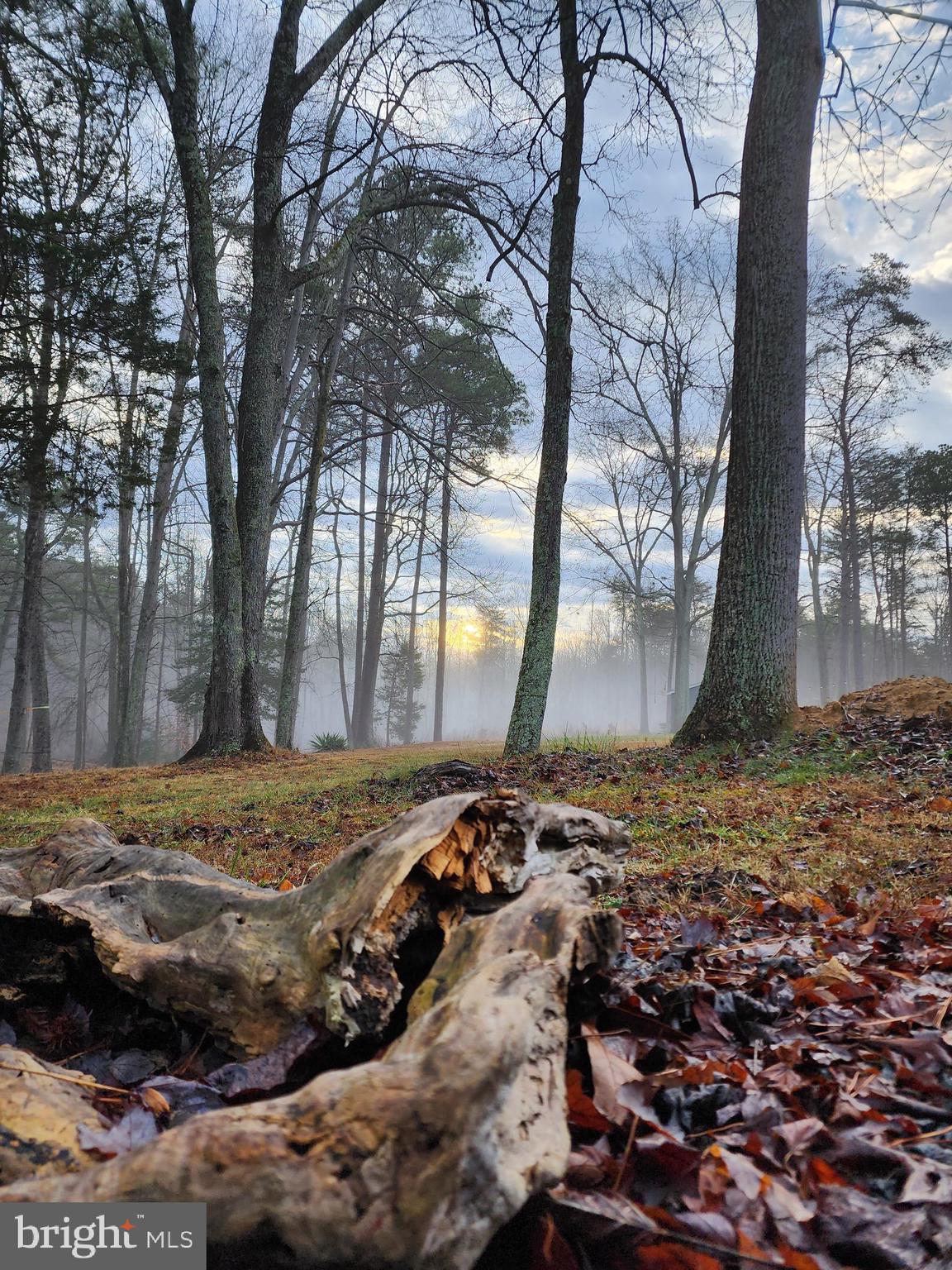 WHITE OAK - Residential