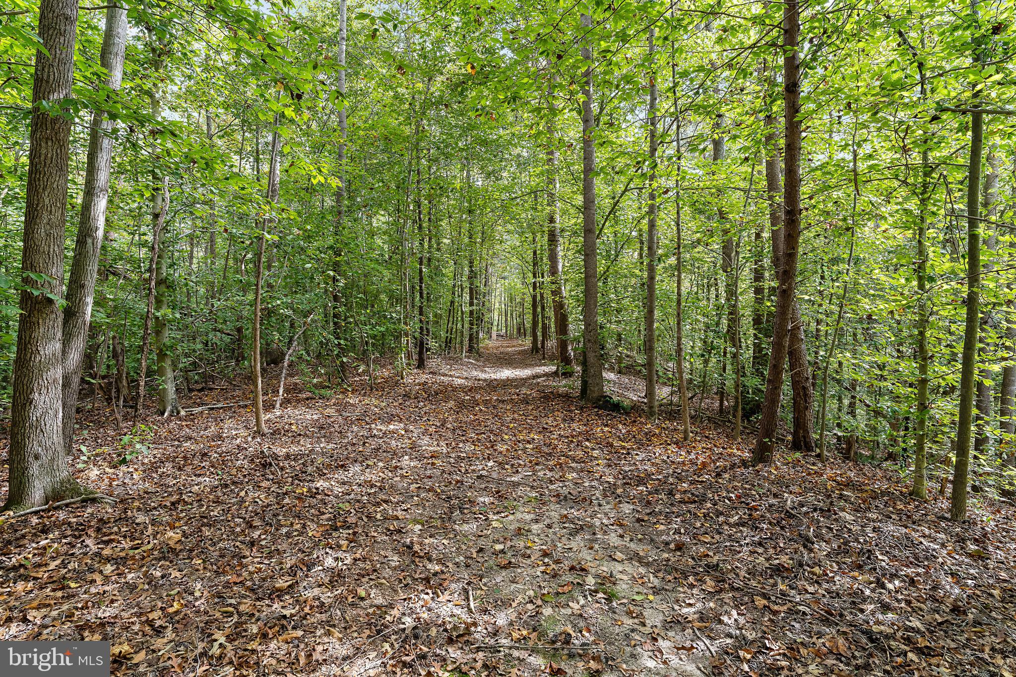 WHITE OAK - Residential