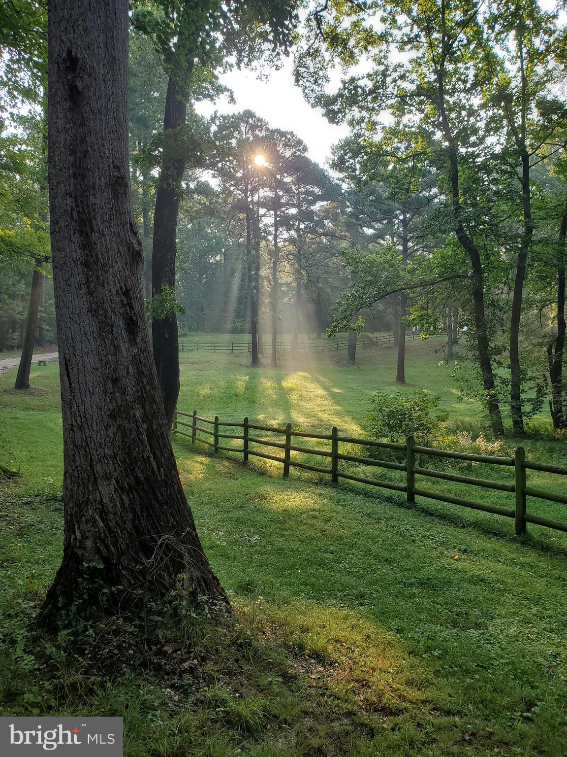 WHITE OAK - Residential