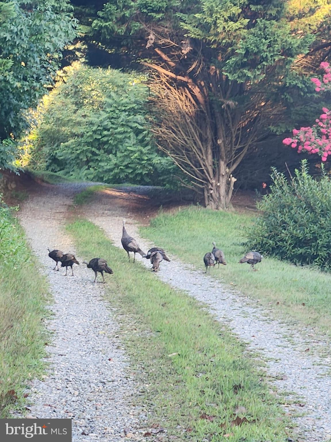 WHITE OAK - Residential