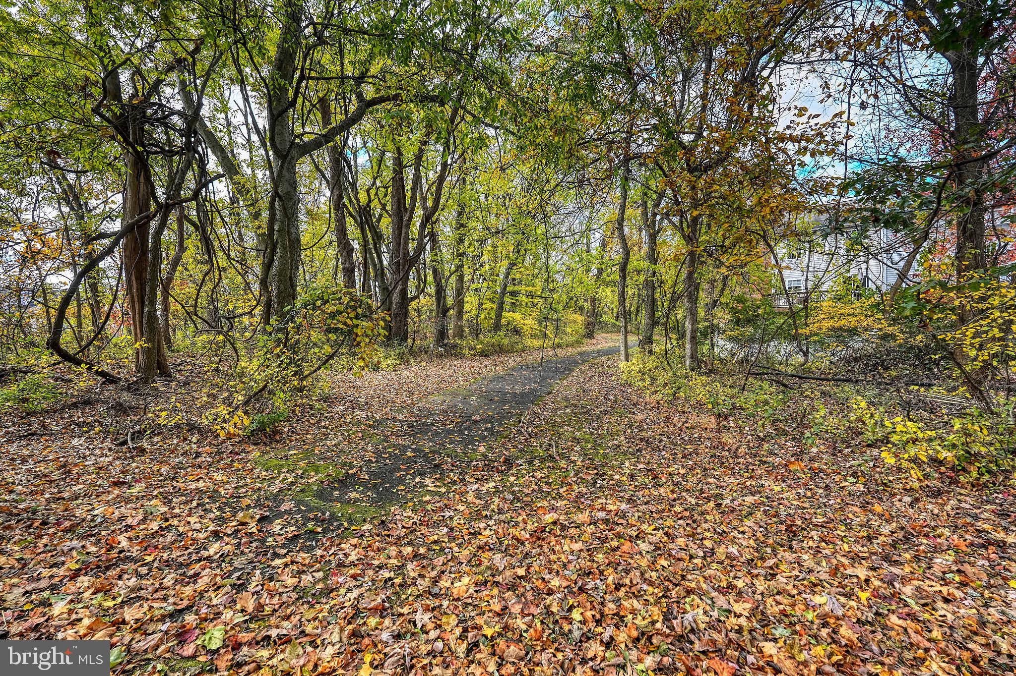 BELLEHAVEN ESTATES - Residential