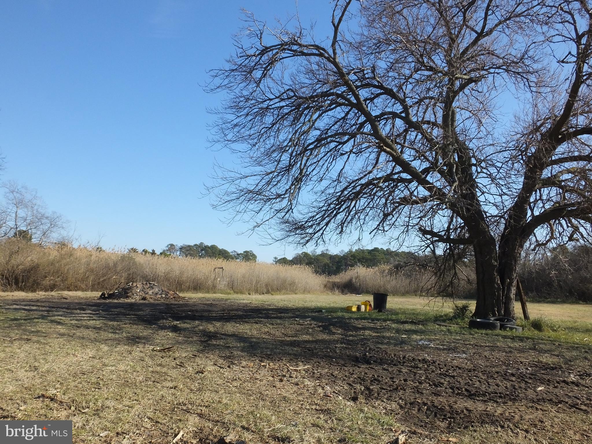 1213 HORSE POINT ROAD