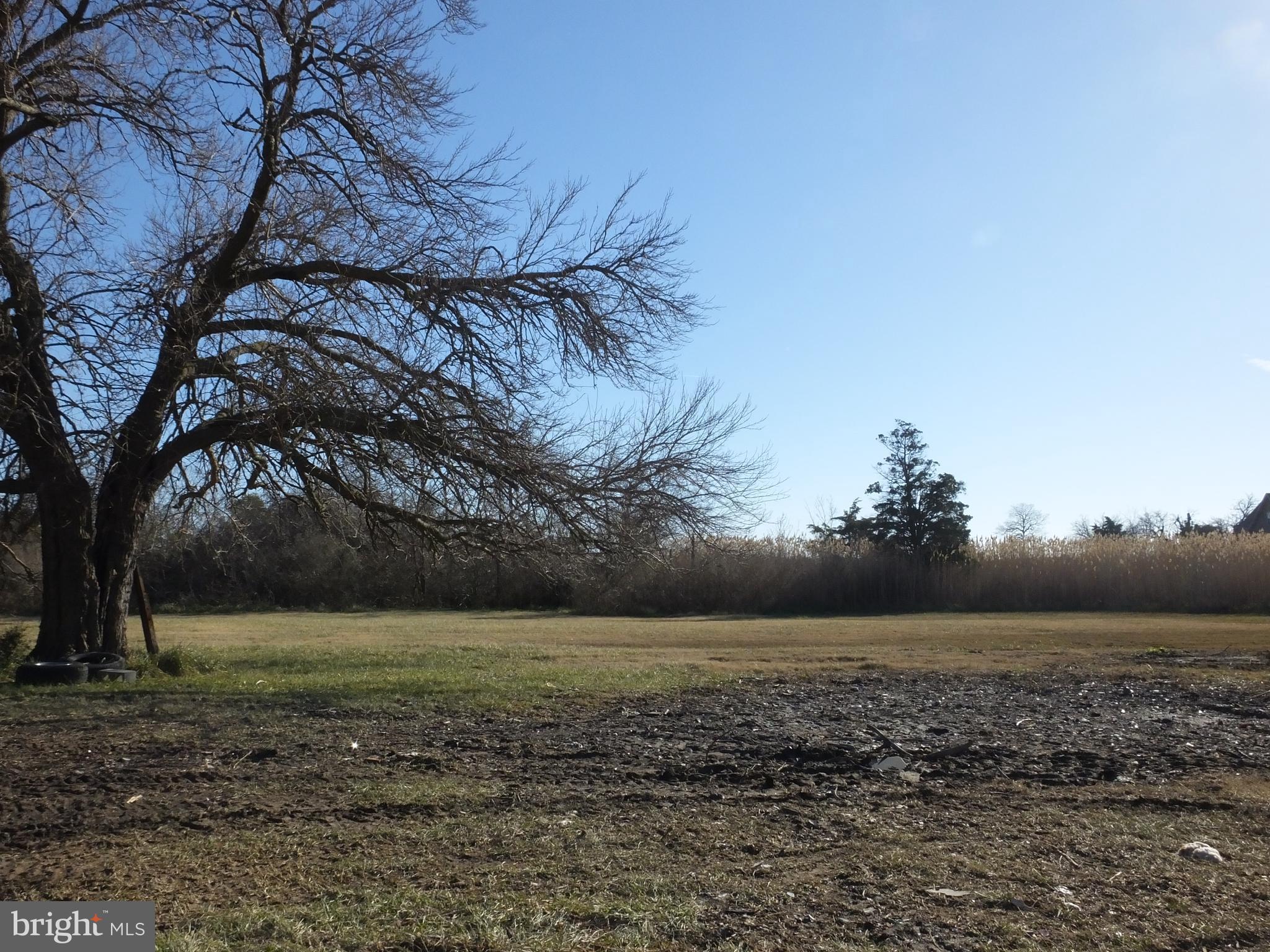 1213 HORSE POINT ROAD