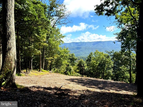 Vacant Land For Sale - 5620 High Knob Road<br/> Hardy County, OLD FIELDS, WV 26845
