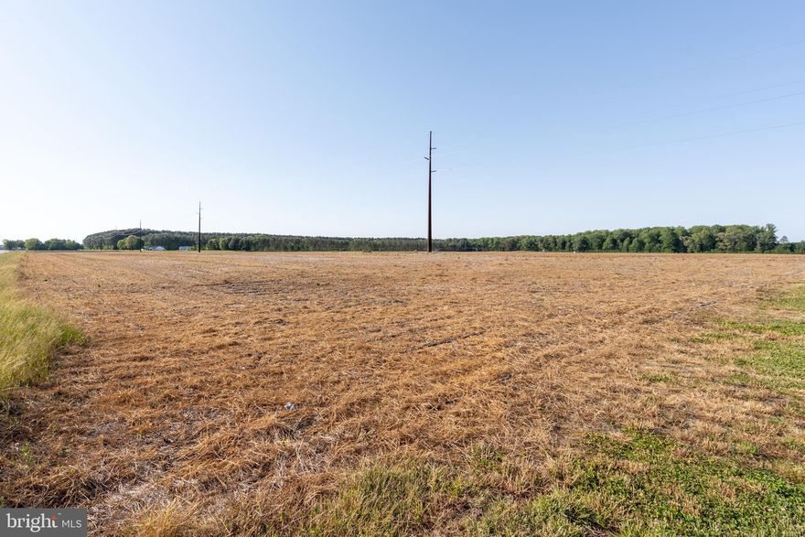 Discover the perfect canvas for your dream home on this beautiful 2.49-acre parcel—perc approved, cleared, and ready to build. Ideally located just minutes from the charming town of Berlin, where boutique shopping, dining, and local events create a true small-town experience. Enjoy easy access to both Assateague Island’s natural beaches and Ocean City’s vibrant shoreline. Whether you envision a custom home, barndominium, or a peaceful farmette, this property offers endless possibilities in a prime Eastern Shore location. This property can be purchased with Home adjacent for sale  MLS#  MDWO203809