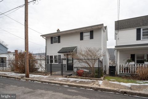 136 E GARIBALDI AVENUE NESQUEHONING PA 18240