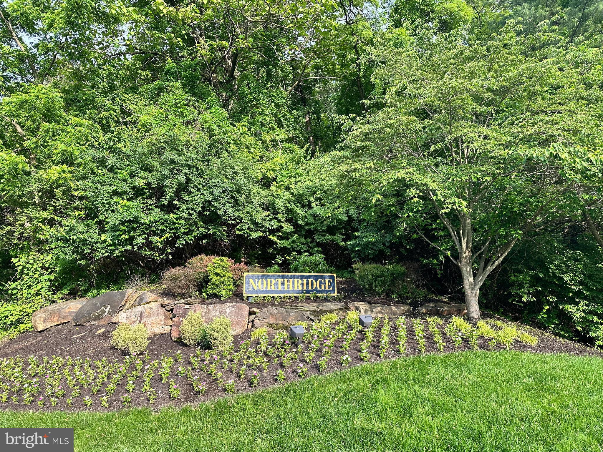 155 WEYBRIDGE DRIVE