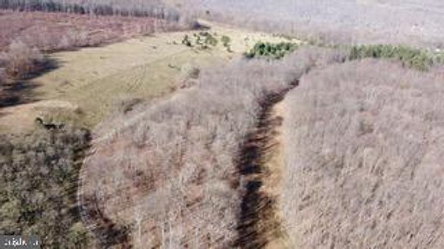 MT. STORM- WONDERFUL SPORTING PROPERTY WITH SOME MIXED LEVEL TO GENTLY ROLLING PASTURES, MEADOWS & VALUABLE WOODLAND. FRESH MTN SPRINGS PROVIDE ENDLESS SUPPLY OF WATER TO BUILD PONDS OR MAN-MADE LAKE. PRIME HABITAT FOR BIG GAME HUNTING. VERY PRIVATE W SEVERAL TRAM ROADS THRU-OUT, AND EZ ACCESS FROM COUNTY ROAD AND NEW CORRIDOR H HIGHWAY. TOPOGRAPHY ELEVATED HIGH ENOUGH TO PROVIDE SCENIC MTN VISTAS. ALSO… FISH, BOAT, BEACH - ALL WITHIN REACH! GREAT INVESTMENT…..CLOSE TO (MT STORM LAKE) ! ACT FAST…MAKE AN OFFER!! 

NOTE:  THIS ENTIRE TRACT WHICH CONTAINS 113 ACRES IS COMPRISED OF (3) SEPARATE PARCELS: TRACT “A” 54 ACRES, TRACT “B” 44.31 ACRES AND TRACT “C” 15 ACRES. SELLERS ARE RESERVING 25 ACRES OF TRACT “C”.  FURTHERMORE, SELLERS WILL ENTERTAIN ALL OFFERS ON EACH PARCEL.  TRACT “A”  (54 ACRES) - $225,000 TRACT “B” (44.31 ACRES) - $195,000 TRACT “C” MUST BE INCLUDED WITH TRACT “A” & “B “OR “B”.  IT CANNOT BE SOLD SEPARATELY.