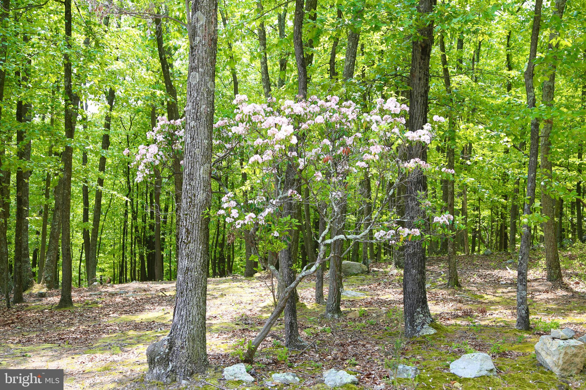 RIVER RIDGE - Residential
