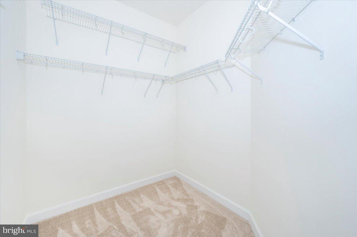 MAXWELL PLACE - Residential Lease