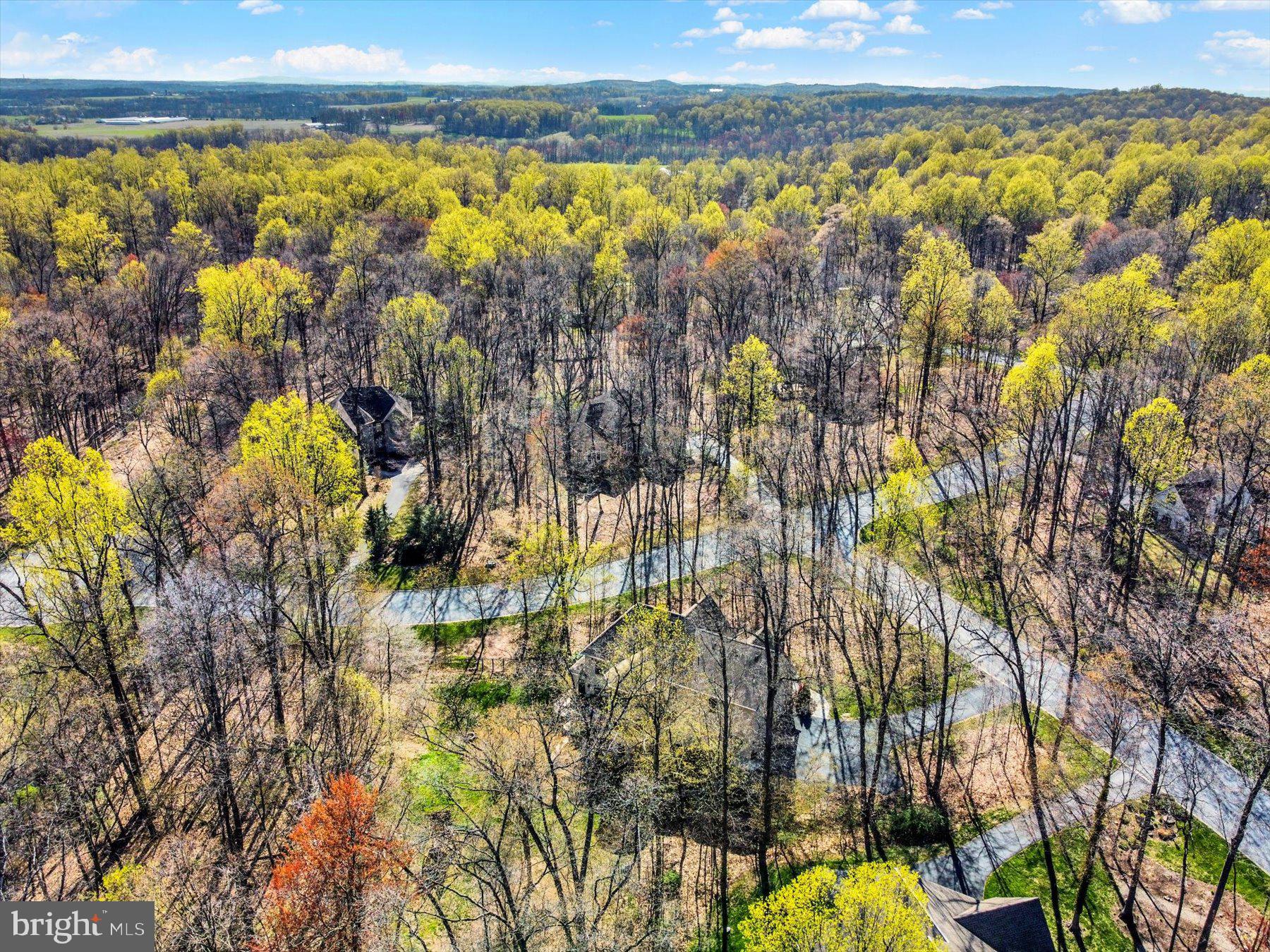 ESTATES OF FOREST RIDGE - Residential