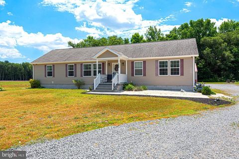 Photo of 30082 Vines Creek Road, DAGSBORO, DE 19939 (MLS # DESU2102018)
