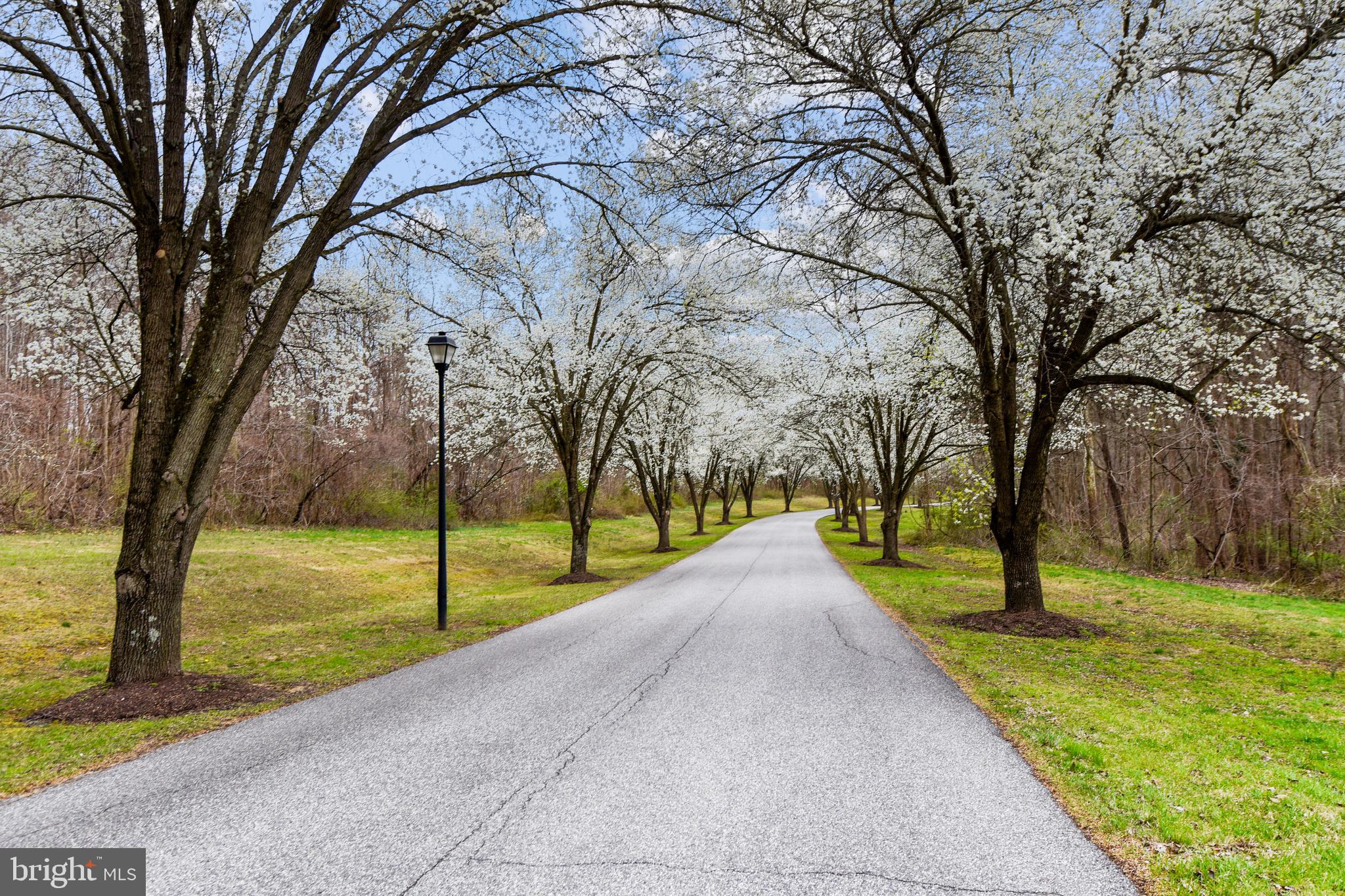 ASHLEY - Residential