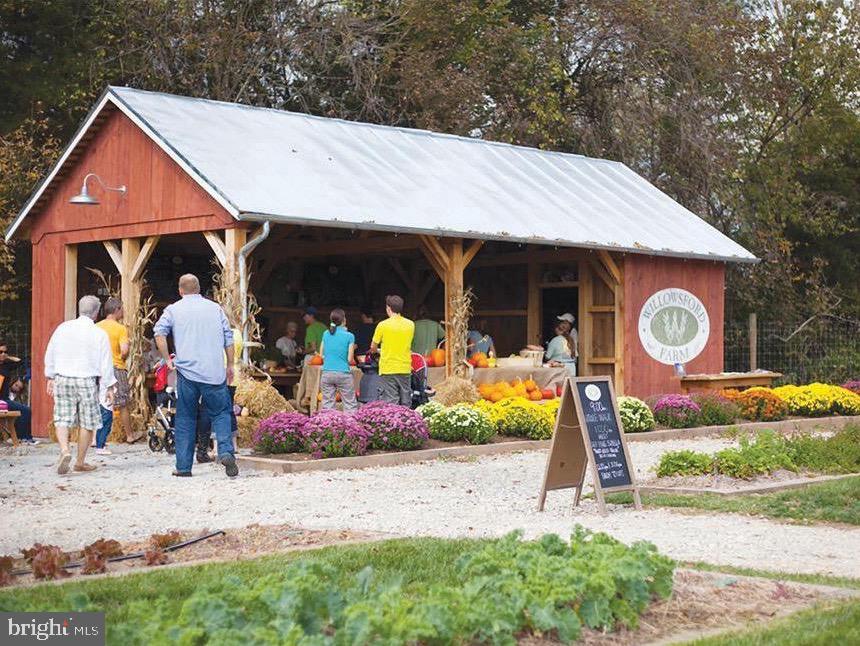 GROVE AT WILLOWSFORD - Residential