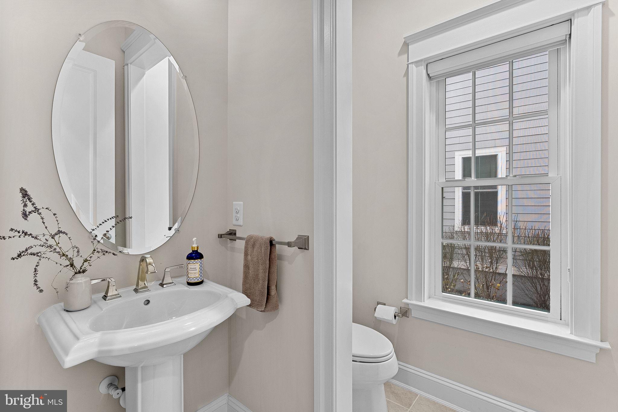 GROVE AT WILLOWSFORD - Residential