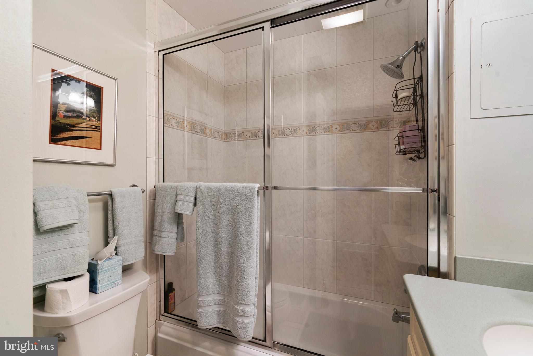 HISTORIC CHESTERTOWN - Residential