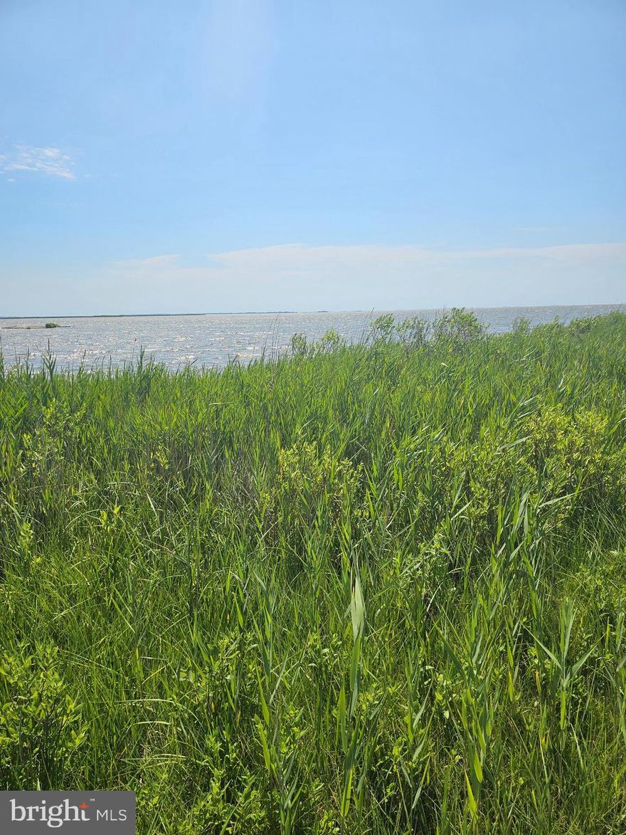 Please read.  This is not a building lot.  It is for recreational purposes only, a permit can be applied for a pier with Maryland Department of the Environment.  There is no space for a camper, no ability to park a camper.  There is only room for a single vehicle parked along the roadway.  There is approximately 1/3 acre on the waterside of the property fronting on beautiful Ape Hole Creek/Pocomoke Sound, with southern exposure.  The remainder of the acreage is marsh that lies on the opposite side of the county road.  It cannot be built upon.   Typically, MDE approves a 100 ft. pier with a 200 sq. ft. "T" "L" at the end.  The permit process takes a minimum of 6 months.