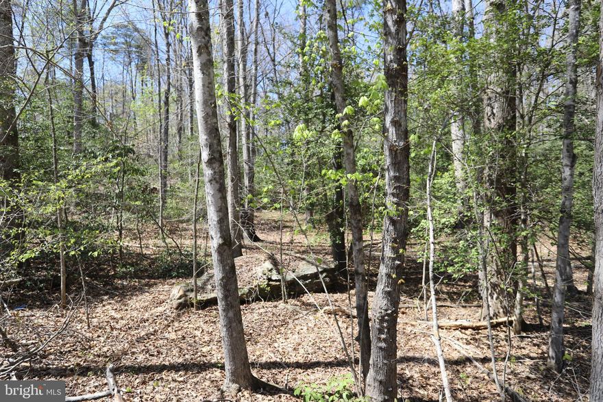 Fantastic 3.7+ Acre Lot in Oakwood Lake Estates!  Situated on the high side of New Hampshire Road, this lot offers myriad opportunities for the discerning buyer.  A variety of topo offers the new owner tons of options. 3-Bedroom Perc Study on Hand.  Priced to Sell!
