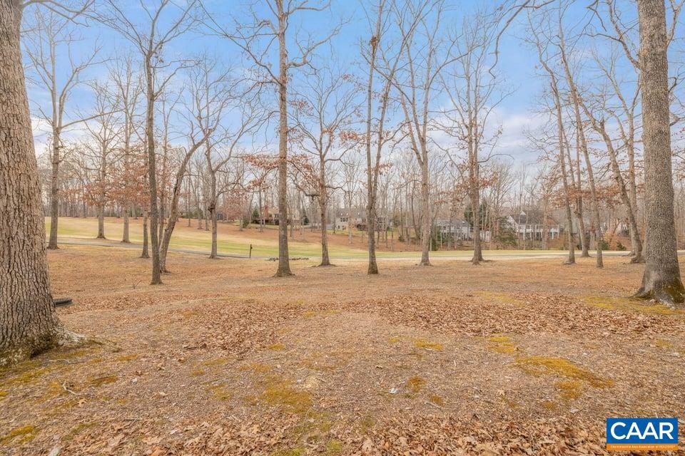 LAKE MONTICELLO - Residential