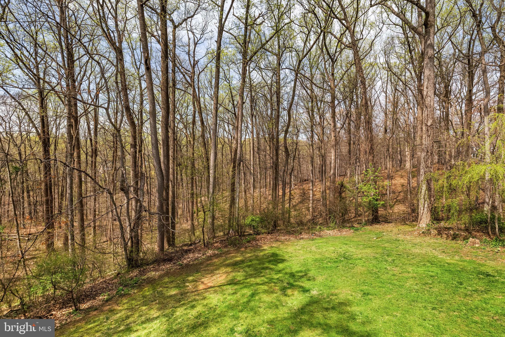 HOLLY KNOLL - Residential