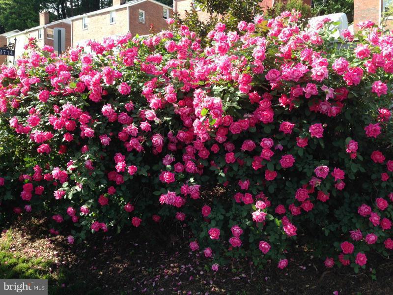 FORT BARNARD HEIGHTS - Residential