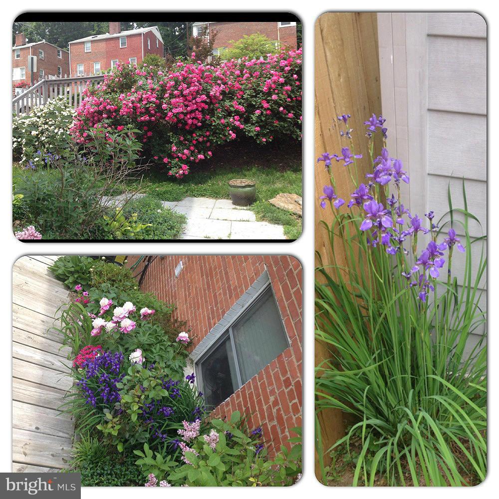 FORT BARNARD HEIGHTS - Residential