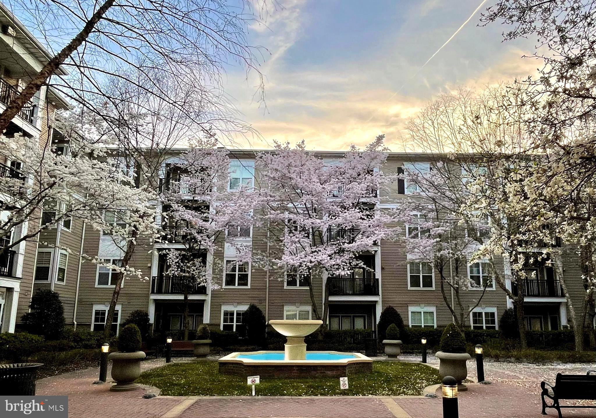 FITZ AT ROCKVILLE TOWN C - Residential