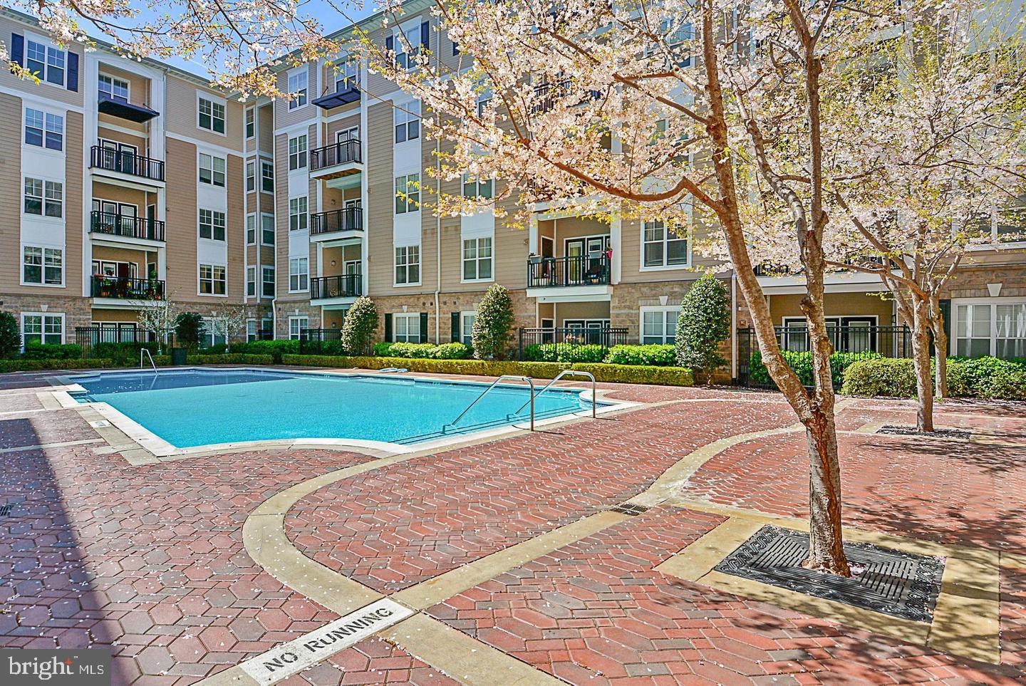 FITZ AT ROCKVILLE TOWN C - Residential