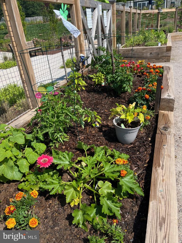 MONTEBELLO - Residential