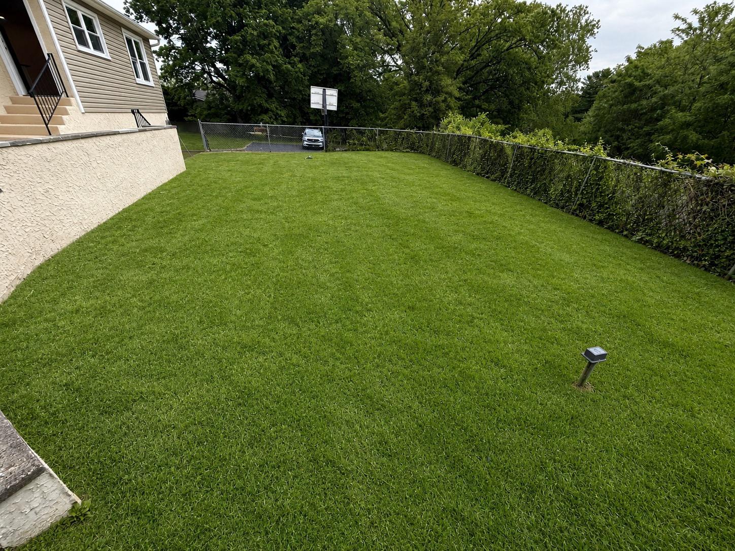 WYNCOTE - Residential