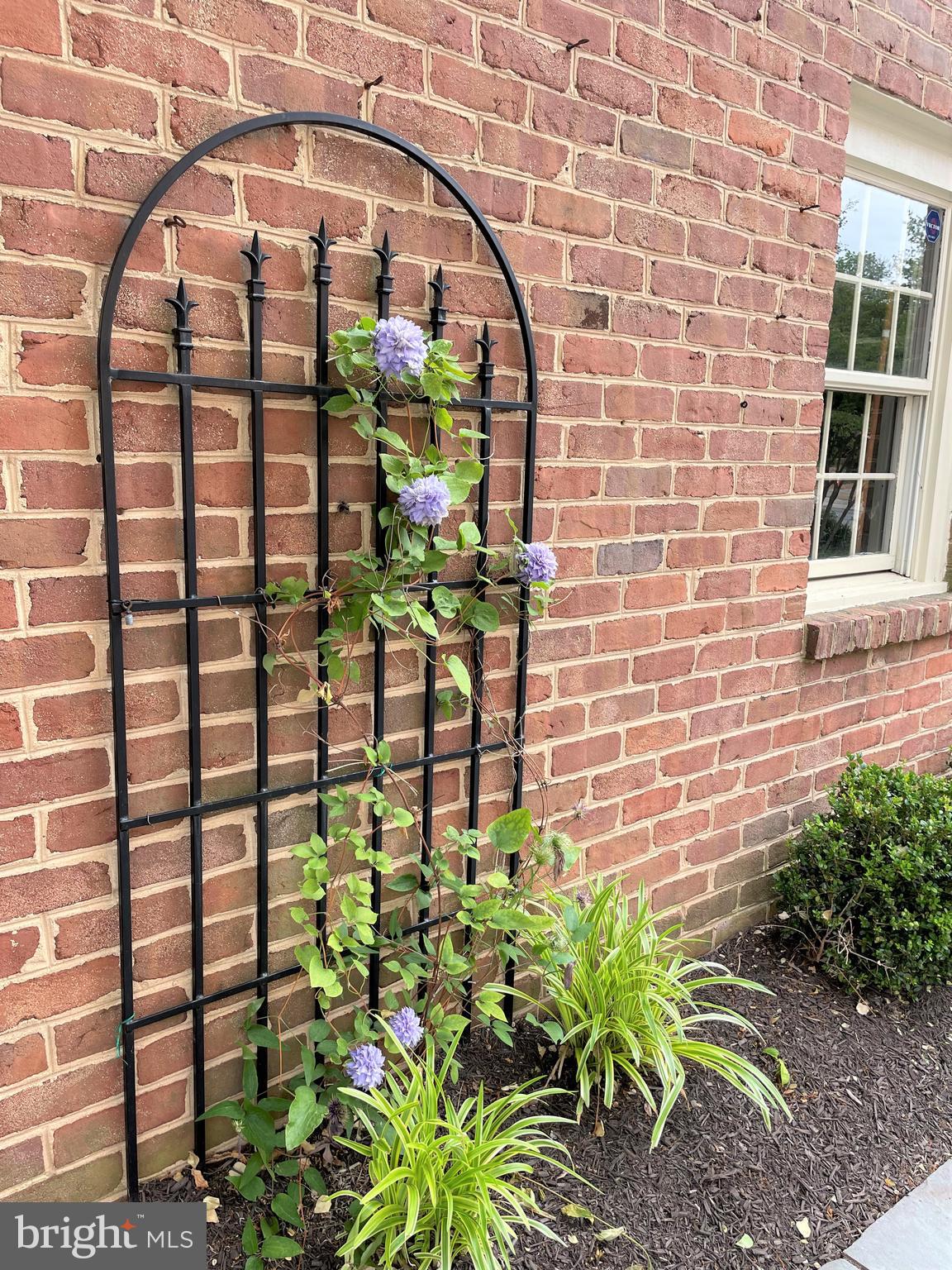 THACHER CT - Residential