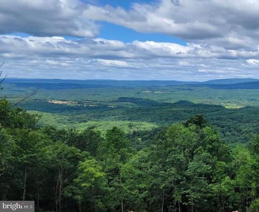 33+  acres with site preparation completed!!  The Views are spectacular!!  

Virginia is close by making this site commuter friendly and close to many amenities of the Eastern Panhandle area.  The driveway is established including constructed drainage, electrical conduit and cable have been buried ready for electric connection and the house site is cleared, and the septic has been installed.  Privacy and serenity, beautiful hardwoods with a variety of trees, rock formations and an abundance of wildlife to build your new home. The community is Equestrian friendly if desired.  The possibilities are endless!  
No discharging of firearms allowed in this community.